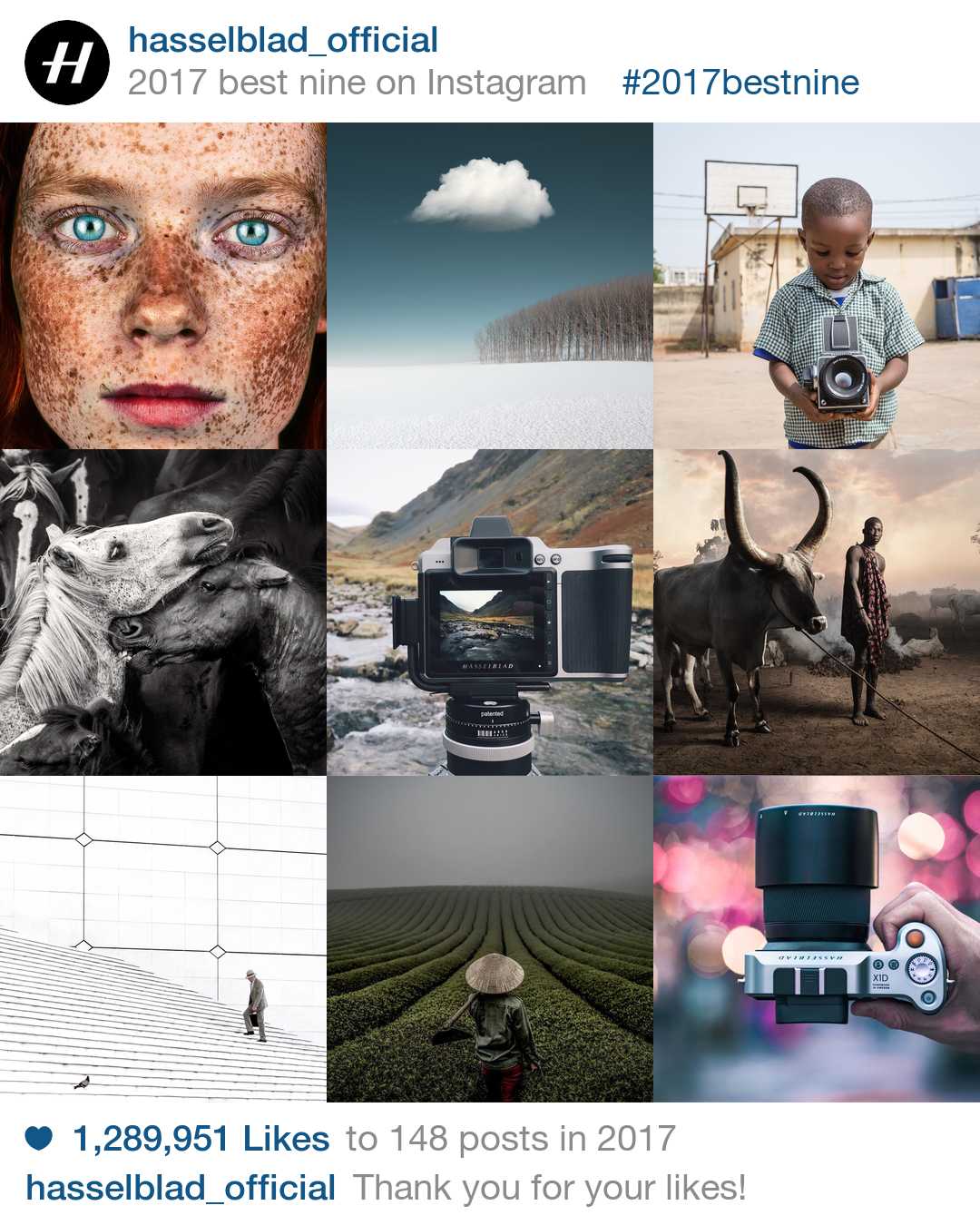 Hasselblads 9 bästa Instagrams 2017